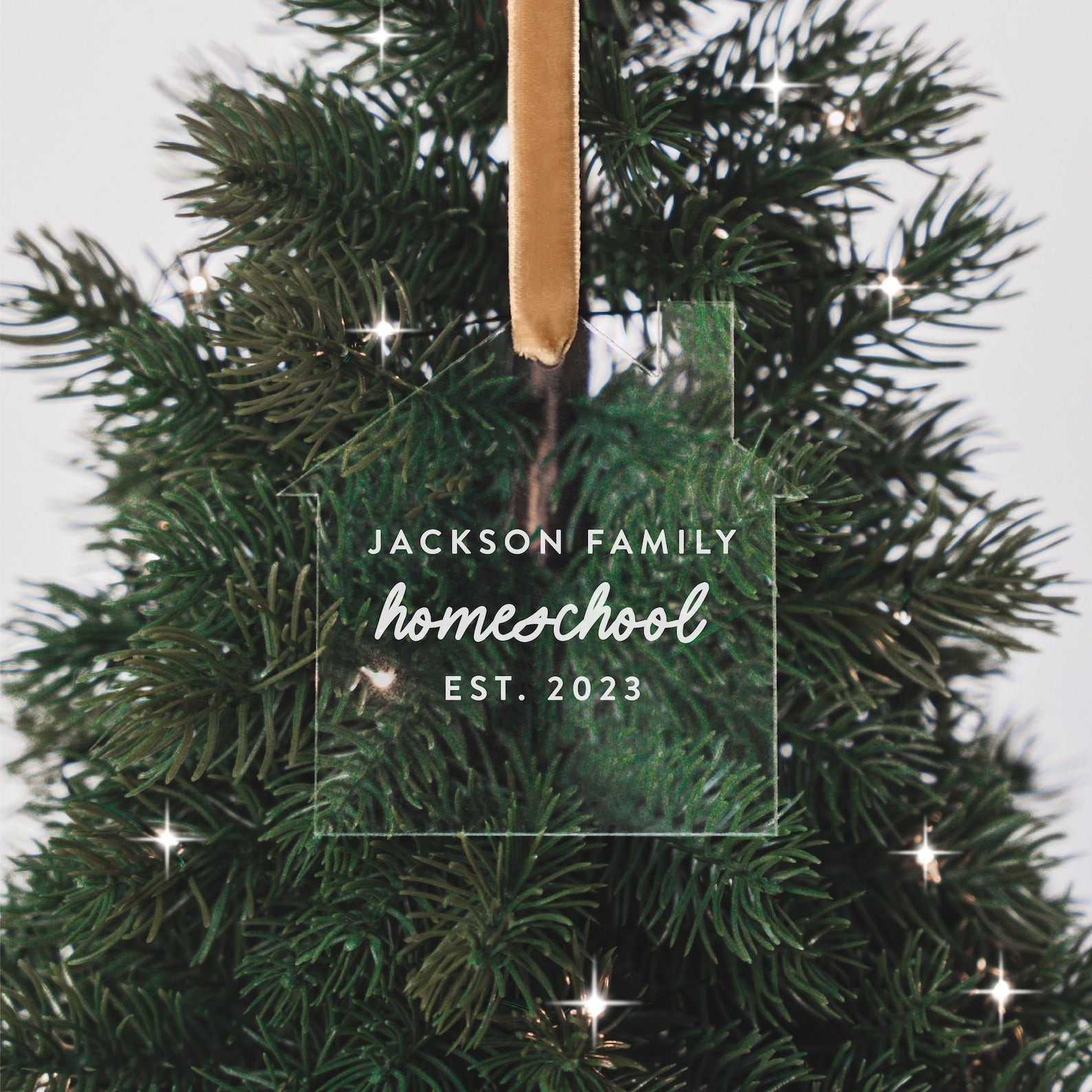 First Year Homeschooling Personalized Christmas Ornament