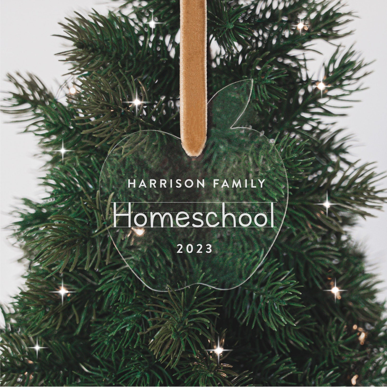 First Year Homeschooling Personalized Christmas Ornament