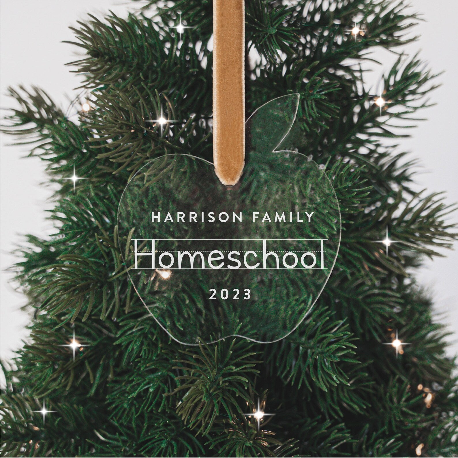 First Year Homeschooling Personalized Christmas Ornament