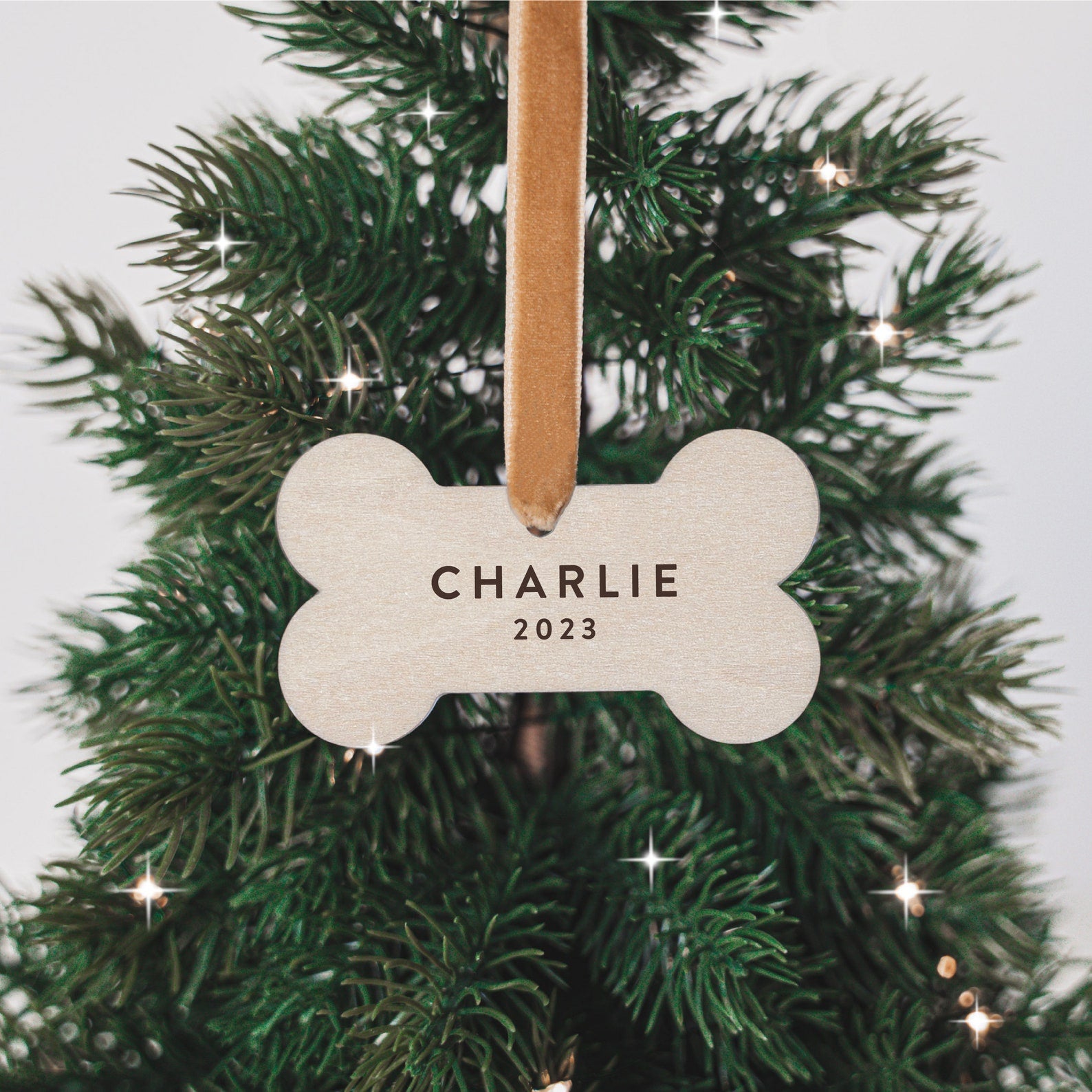 Personalized Pet Name Ornament